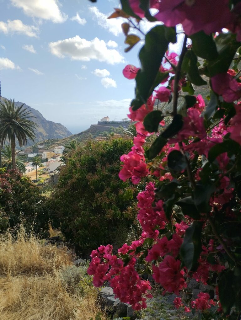 « LA GOMERA »                                                        A travers montagnes et barrancos