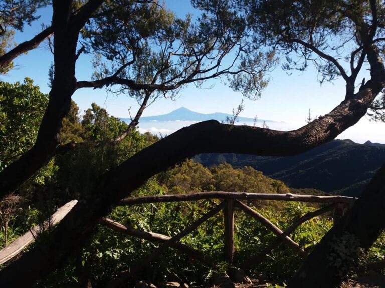 TENERIFE et LA GOMERA